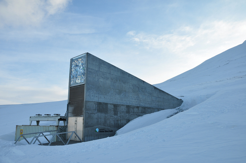 Illustration for article titled Doomsday Seed Vault Adds 20k New CropsâIncluding Beer Barley
